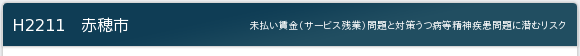 H2211@ԕs